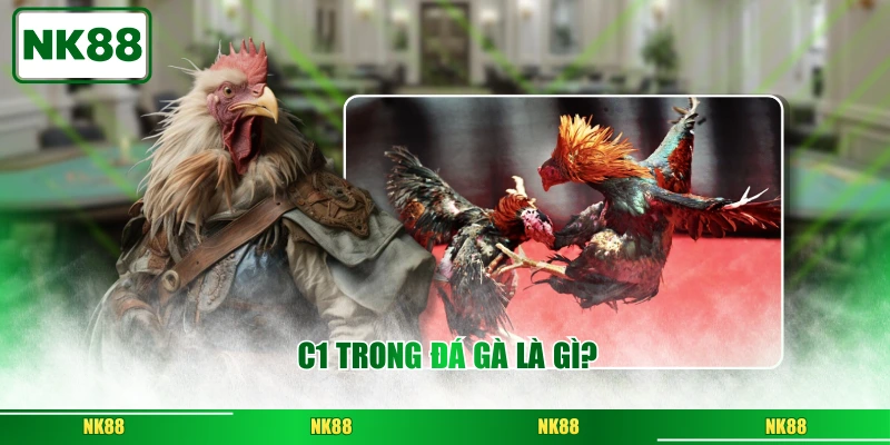 C1 trong đá gà là gì?