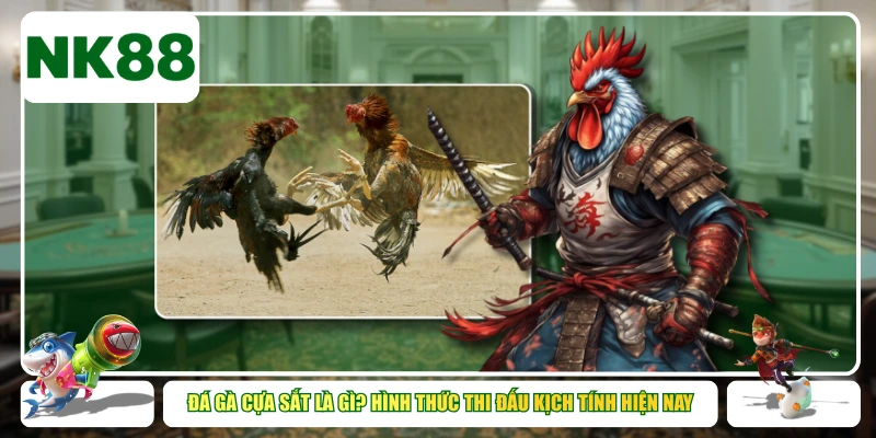 Đá Gà Cựa Sắt Là Gì? Hình Thức Thi Đấu Kịch Tính Hiện Nay