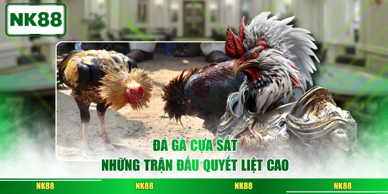 Đá gà cựa sắt những trận đấu quyết liệt cao
