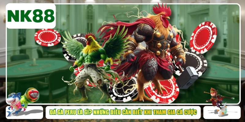 Đá Gà Peru Là Gì? Những Điều Cần Biết Khi Tham Gia Cá Cược