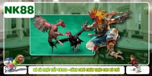 Đá Gà Trực Tiếp Sv368 - Sảnh Chơi Chân Thực Cho Kê Thủ