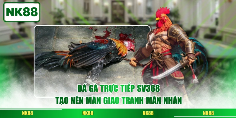 Đá gà trực tiếp SV368 tạo nên màn giao tranh mãn nhãn