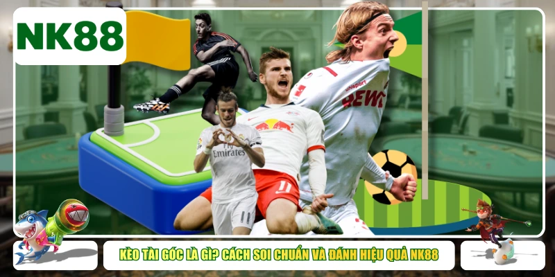 Kèo tài góc là gì? Cách soi chuẩn và đánh hiệu quả NK88
