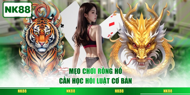 Mẹo chơi Rồng hổ cần học hỏi luật cơ bản