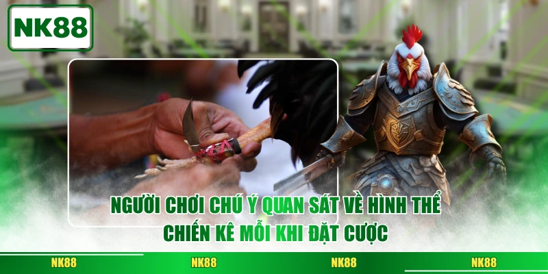 Người chơi chú ý quan sát về hình thể chiến kê mỗi khi đặt cược