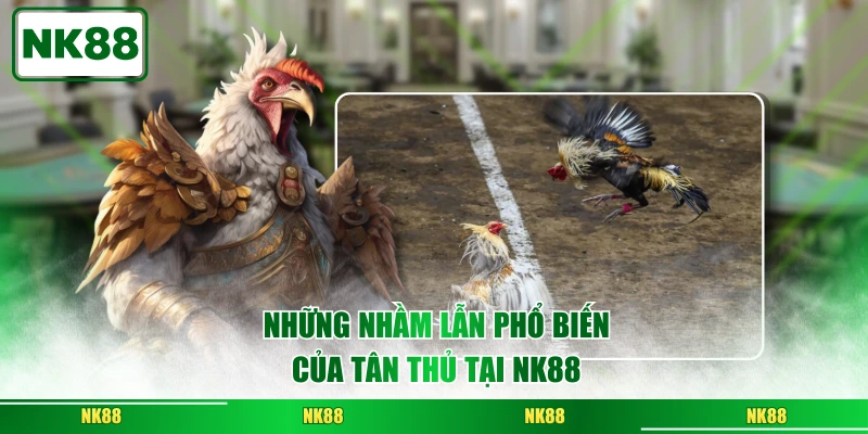 Những nhầm lẫn phổ biến của tân thủ tại NK88