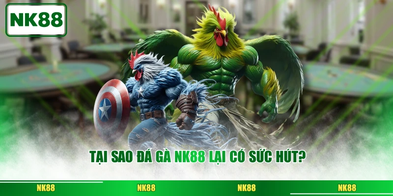 Tại sao đá gà NK88 lại có sức hút?